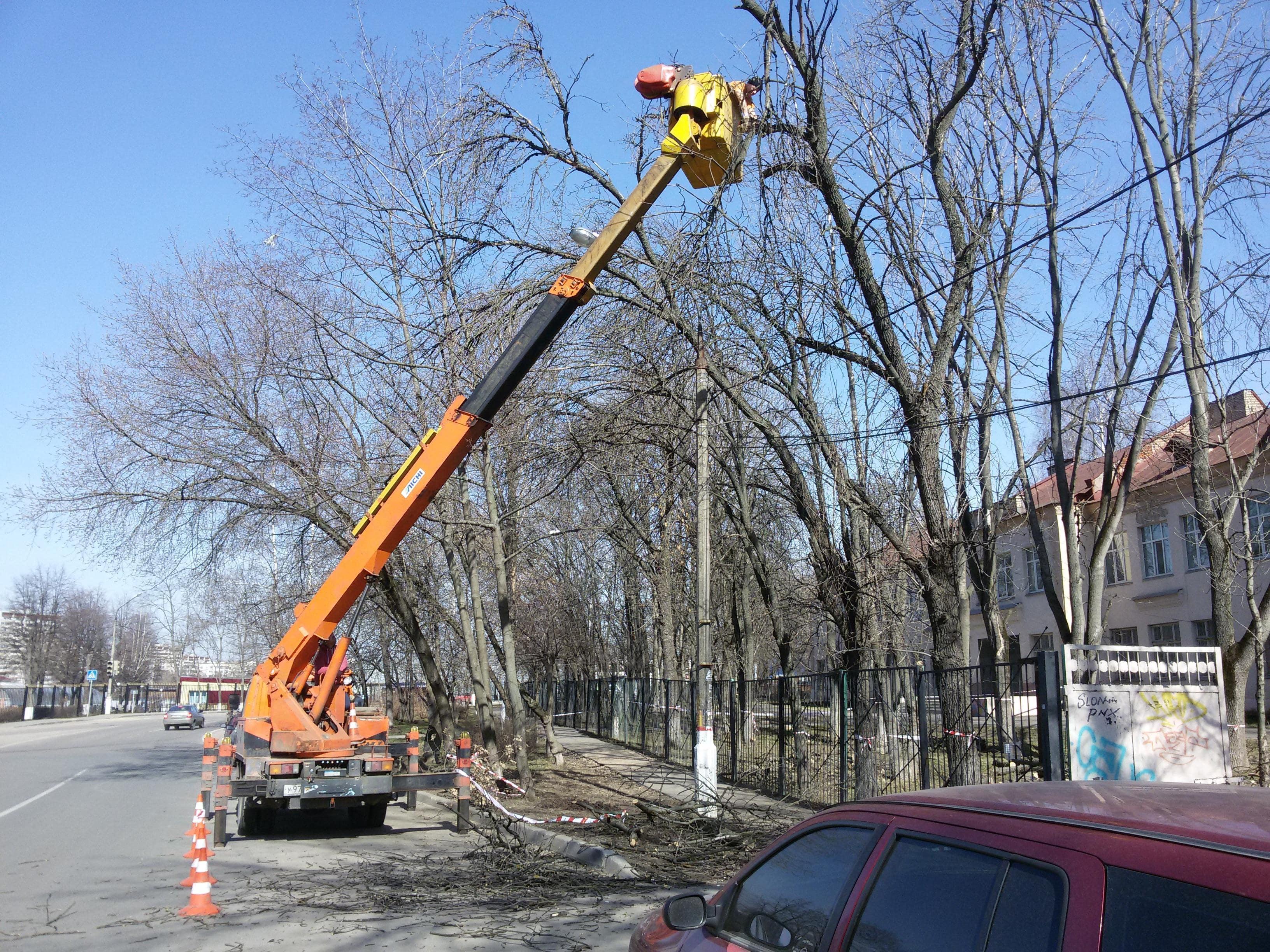 Спил и кронирование дерева с использованием автовышки